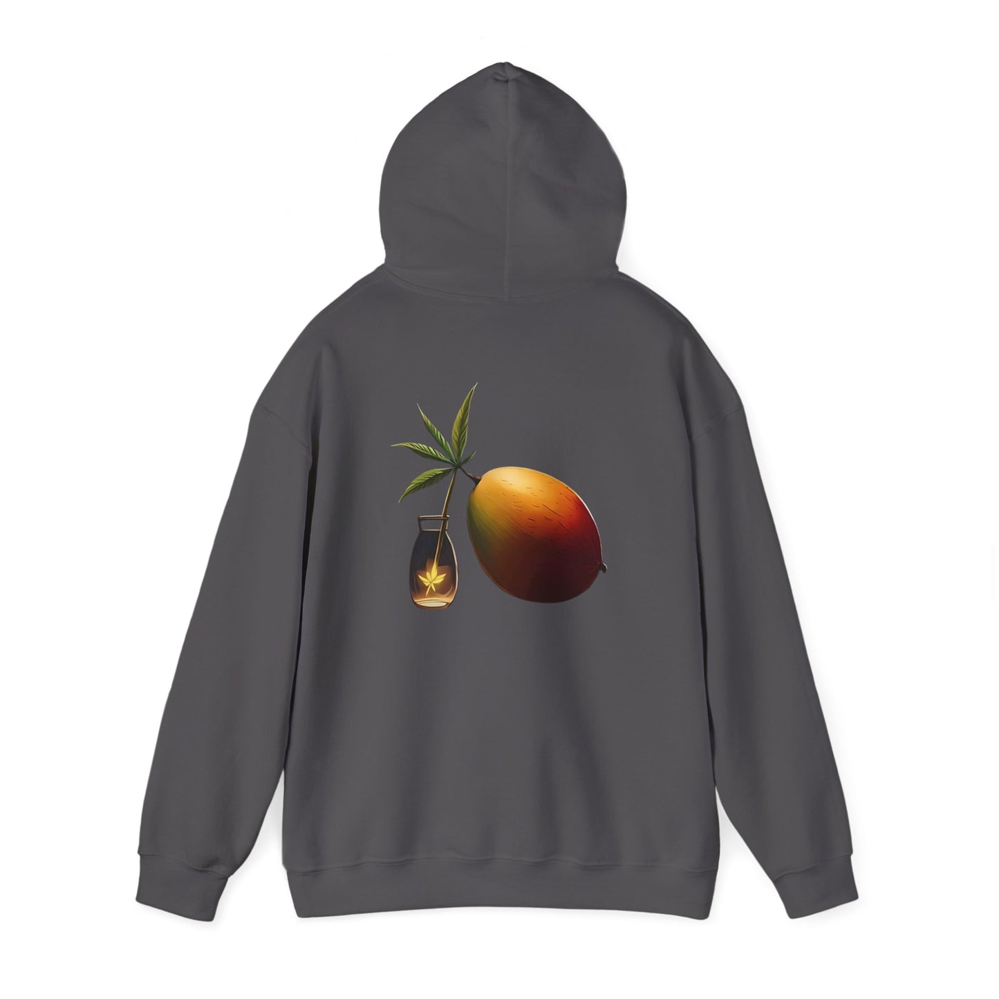 Mango Hooded Sweatshirt