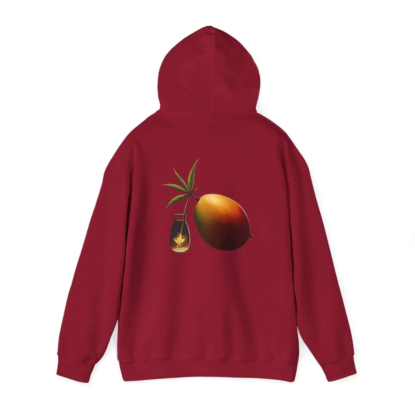 Mango Hooded Sweatshirt