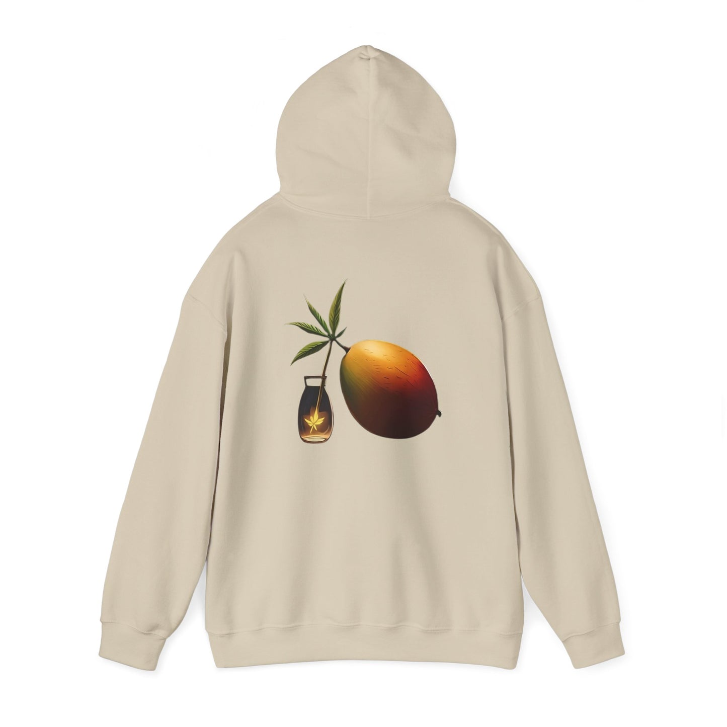 Mango Hooded Sweatshirt