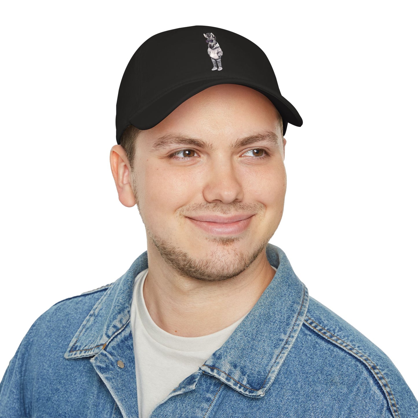 Chill Zebra Baseball Cap