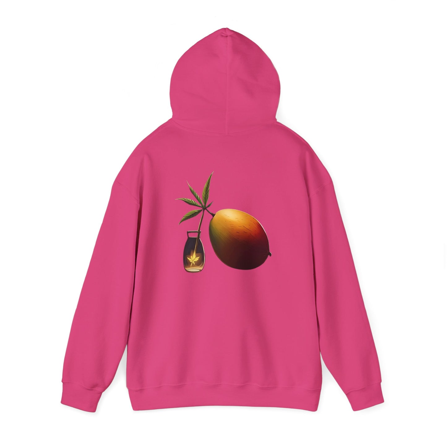 Mango Hooded Sweatshirt